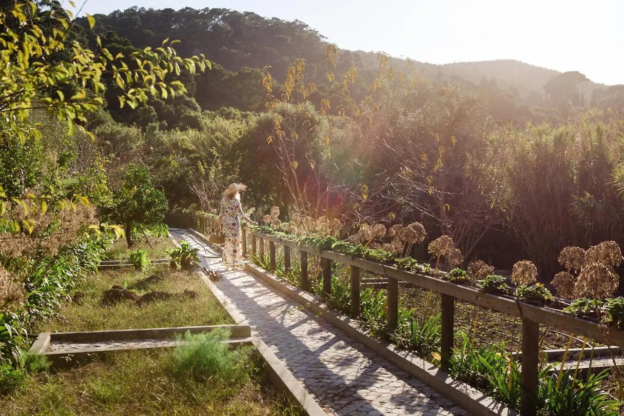 Casa Bohemia Villa Sintra